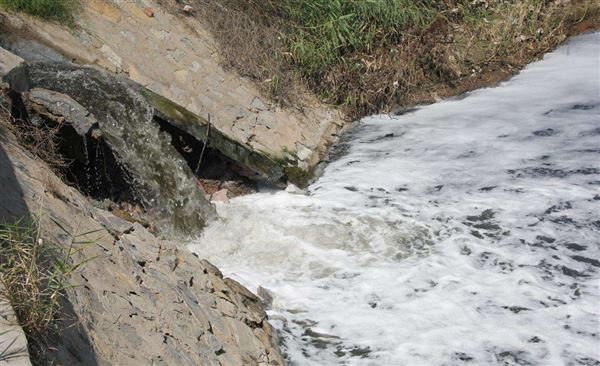 造紙廢水排出泡沫圖